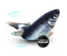 Charger l'image dans la galerie, Jouet pour chat poisson dansant - Boutique Le Jardin Des Animaux -Jouet chatBoutique Le Jardin Des Animauxvp1568