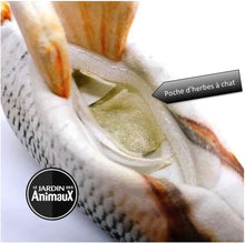 Charger l'image dans la galerie, Jouet pour chat poisson dansant - Boutique Le Jardin Des Animaux -Jouet chatBoutique Le Jardin Des Animauxvp1568