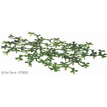 Charger l'image dans la galerie, Lentille d'eau flottante Water Plants Exo Terra - Boutique Le Jardin Des Animaux -DécorationBoutique Le Jardin Des AnimauxPT3061