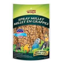 Charger l'image dans la galerie, Living World Millets en grappes pour oiseaux - Boutique Le Jardin Des Animaux -Gâterie oiseauBoutique Le Jardin Des Animaux82472