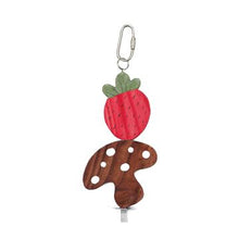Charger l'image dans la galerie, Living World Nibblers jouet à gruger fraise et champignon en bois sur tige pour petits mammifères - Boutique Le Jardin Des Animaux -Gâterie petit mammifèreBoutique Le Jardin Des Animaux61475
