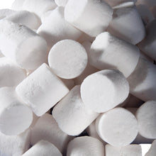 Charger l'image dans la galerie, Masse filtrante BioMax pour Série U Fluval - Boutique Le Jardin Des Animaux -Masse FiltranteBoutique Le Jardin Des AnimauxA495