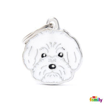 Charger l'image dans la galerie, Médaille pour chien collection Friends, BICHON BOLONAIS - Boutique Le Jardin Des Animaux -médailleBoutique Le Jardin Des AnimauxMF11N