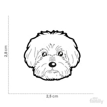 Charger l'image dans la galerie, Médaille pour chien collection Friends, BICHON BOLONAIS - Boutique Le Jardin Des Animaux -médailleBoutique Le Jardin Des AnimauxMF11N