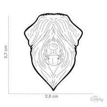 Charger l'image dans la galerie, Médaille pour chien collection Friends, BOUVIER DES FLANDRES, TERRIER RUSSE - Boutique Le Jardin Des Animaux -médailleBoutique Le Jardin Des AnimauxMF101