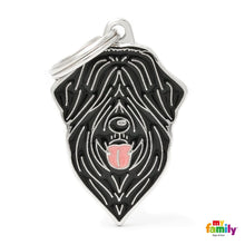 Charger l'image dans la galerie, Médaille pour chien collection Friends, BOUVIER DES FLANDRES, TERRIER RUSSE - Boutique Le Jardin Des Animaux -médailleBoutique Le Jardin Des AnimauxMF101