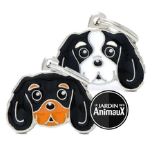 Charger l'image dans la galerie, Médaille pour chien collection Friends, CAVALIER KING, Couleurs variées - Boutique Le Jardin Des Animaux -médailleBoutique Le Jardin Des AnimauxMF22COLORED3