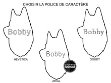 Charger l'image dans la galerie, Médaille pour chien collection Friends, HUSKY, Couleurs variées - Boutique Le Jardin Des Animaux -médailleBoutique Le Jardin Des AnimauxMF13