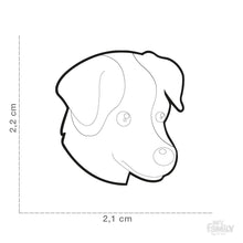 Charger l'image dans la galerie, Médaille pour chien collection Friends, JACK RUSSELL, couleurs variées - Boutique Le Jardin Des Animaux -médailleBoutique Le Jardin Des AnimauxMF25ORANGE