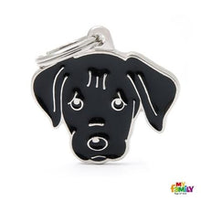 Charger l'image dans la galerie, Médaille pour chien collection Friends, LABRADOR, Couleurs variées - Boutique Le Jardin Des Animaux -médailleBoutique Le Jardin Des AnimauxMF31BLACK