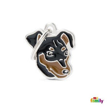 Charger l'image dans la galerie, Médaille pour chien collection Friends, PINSCHER, couleurs variées - Boutique Le Jardin Des Animaux -médailleBoutique Le Jardin Des AnimauxMF26NBLACK