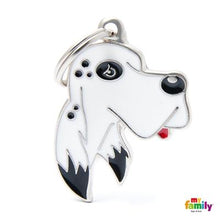 Charger l'image dans la galerie, Médaille pour chien collection Friends, SETTER, Couleurs variées - Boutique Le Jardin Des Animaux -médailleBoutique Le Jardin Des AnimauxMF28ENGLISH