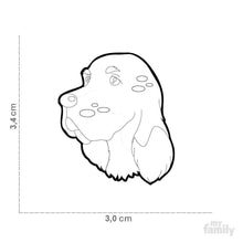 Charger l'image dans la galerie, Médaille pour chien collection Friends, SETTER, Couleurs variées - Boutique Le Jardin Des Animaux -médailleBoutique Le Jardin Des AnimauxMF28ENGLISH