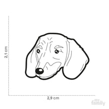 Charger l'image dans la galerie, Médaille pour chien collection Friends, TECKELL, Couleurs variées - Boutique Le Jardin Des Animaux -médailleBoutique Le Jardin Des AnimauxMF19NBROWN