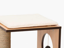Charger l'image dans la galerie, Meuble Box Vesper Petit – noyer, arbre à chat - Boutique Le Jardin Des Animaux -Griffoir, meuble et litBoutique Le Jardin Des Animaux