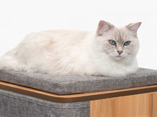 Charger l'image dans la galerie, Meuble Cubo Tower Vesper – gris, arbre à chat - Boutique Le Jardin Des Animaux -Griffoir, meuble et litBoutique Le Jardin Des Animaux52094