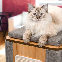 Charger l'image dans la galerie, Meuble Cubo Tower Vesper – gris, arbre à chat - Boutique Le Jardin Des Animaux -Griffoir, meuble et litBoutique Le Jardin Des Animaux52094
