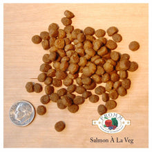 Charger l'image dans la galerie, Nourriture Fromm Four Stars chat Saumon à la Veg - Boutique Le Jardin Des Animaux -Nourriture chatBoutique Le Jardin Des Animaux11676