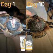 Charger l'image dans la galerie, Silver Honey Pommade - pour une réparation rapide des plaies 57.6g - Absorbine - Boutique Le Jardin Des Animaux -Boutique Le Jardin Des AnimauxSHY45001