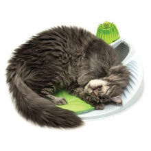 Charger l'image dans la galerie, Station de bien-être Senses Catit 2.0 - Boutique Le Jardin Des Animaux -Jouet chatBoutique Le Jardin Des Animaux43153W