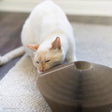 Charger l'image dans la galerie, Turbo Transformez-le ! - Boutique Le Jardin Des Animaux -Jouets pour chatsBoutique Le Jardin Des AnimauxBG84405