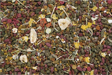 Charger l'image dans la galerie, Versele Laga Nature Original Cuni pour lapin adulte - Boutique Le Jardin Des Animaux -Nourriture petit mammifèreBoutique Le Jardin Des Animauxh-461456