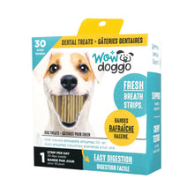 Charger l'image dans la galerie, WOW DOGGO BANDE VANILLE ET MENTHE - Gâterie dentaire pour chien - Boutique Le Jardin Des Animaux -Gâterie pour chienBoutique Le Jardin Des Animauxwoo23524