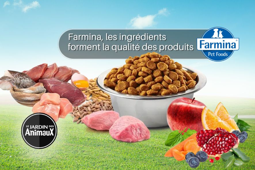 Des ingrédients de qualités dans les produits de FARMINA nourriture pour chien et chat