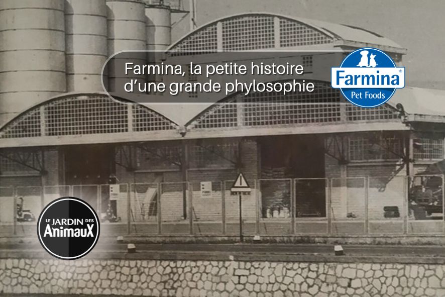 Farmina nourriture pour chien et chat est un mode de vie nutritionnel made in Italy.