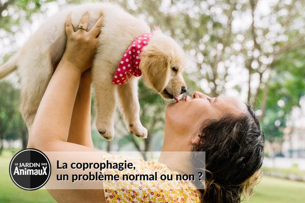 La coprophagie chez le chien, ou «Mon chien mange son caca» | Boutique Le Jardin Des Animaux