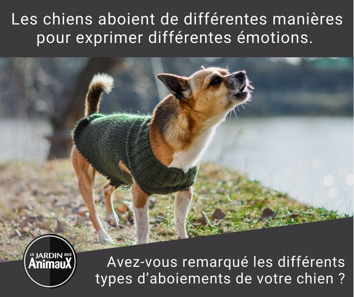 Les chiens aboient de différentes manières pour exprimer différentes émotions. ‍