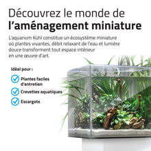 Charger l'image dans la galerie, Aquarium équipé Fluval Kühl pour l’aménagement miniature et aquaponie, 8 L (2,1 gal US), blanc
