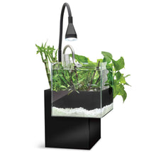 Charger l'image dans la galerie, Aquarium équipé Fluval Kühl pour l’aménagement miniature et aquaponie, 8 L (2,1 gal US), noir
