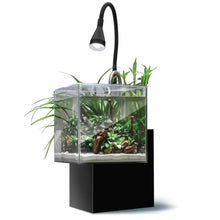 Charger l'image dans la galerie, Aquarium équipé Fluval Kühl pour l’aménagement miniature et aquaponie, 8 L (2,1 gal US), noir
