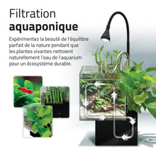 Charger l'image dans la galerie, Aquarium équipé Fluval Kühl pour l’aménagement miniature et aquaponie, 8 L (2,1 gal US), noir
