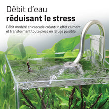 Charger l'image dans la galerie, Aquarium équipé Fluval Kühl pour l’aménagement miniature et aquaponie, 8 L (2,1 gal US), noir
