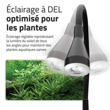 Charger l'image dans la galerie, Aquarium équipé Fluval Kühl pour l’aménagement miniature et aquaponie, 8 L (2,1 gal US), noir
