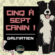 Charger l&#39;image dans la galerie, Frais d&#39;inscription à un 5 à 7 - regroupement de race de chiens
