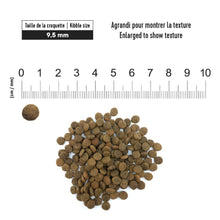 Charger l'image dans la galerie, 1st Choice Nourriture pour chat sans grains- Hypoallergène - Morue
