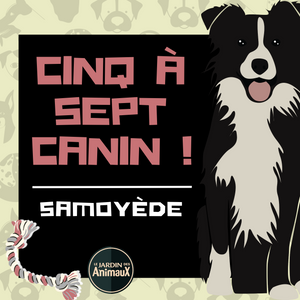 Frais d'inscription à un 5 à 7 - regroupement de race de chiens