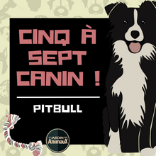 Charger l&#39;image dans la galerie, Frais d&#39;inscription à un 5 à 7 - regroupement de race de chiens
