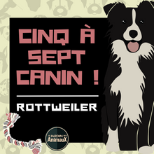 Charger l&#39;image dans la galerie, Frais d&#39;inscription à un 5 à 7 - regroupement de race de chiens
