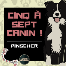 Charger l&#39;image dans la galerie, Frais d&#39;inscription à un 5 à 7 - regroupement de race de chiens
