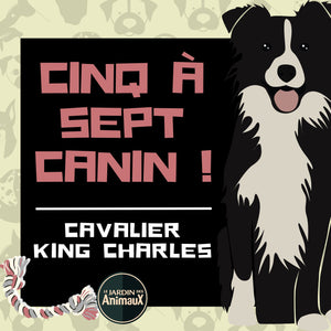 Frais d'inscription à un 5 à 7 - regroupement de race de chiens