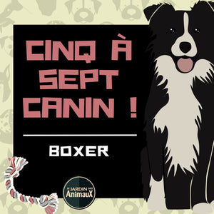 Frais d'inscription à un 5 à 7 - regroupement de race de chiens