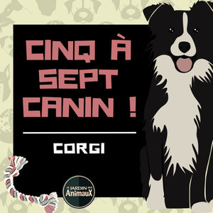 Frais d'inscription à un 5 à 7 - regroupement de race de chiens