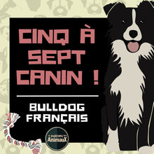 Charger l&#39;image dans la galerie, Frais d&#39;inscription à un 5 à 7 - regroupement de race de chiens
