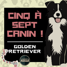 Charger l&#39;image dans la galerie, Frais d&#39;inscription à un 5 à 7 - regroupement de race de chiens
