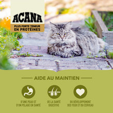 Charger l&#39;image dans la galerie, ACANA Chat Plus Forte Teneur En Protéines, Grasslands
