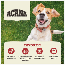 Charger l'image dans la galerie, ACANA Chien Viande rouge Haut en Protéines
